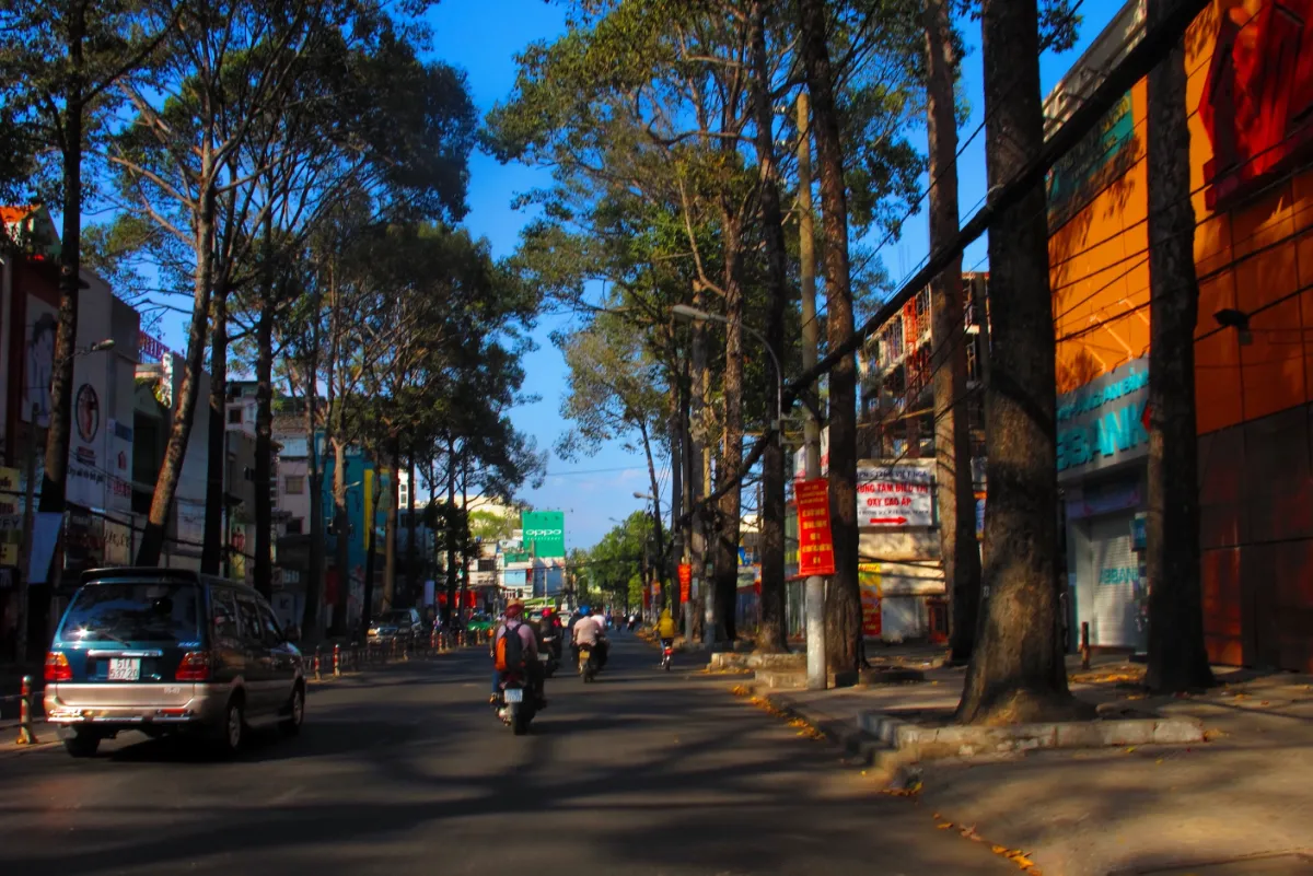 Hàng cây trên đường 3 Tháng 2 Quận 10 cũ, khu vực quanh dự án Vinhomes Kỳ Hòa